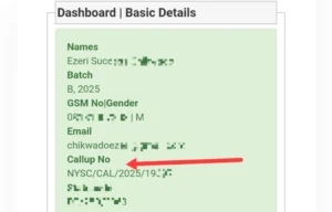 How does the NYSC call up number look like