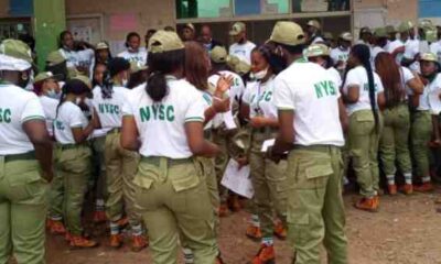 nysc final clearance for pop